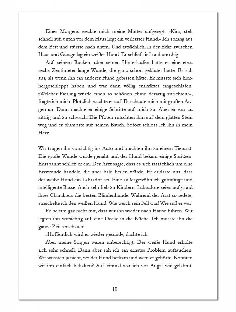 Bodo Schäfer Buch Ein Hund namens Money Blick ins Buch 2